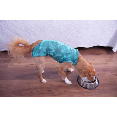 Îmbrăcăminte de Protecție „Dry Light Supreme Dog” Verde Mărimea 11 (27 – 32 kg) UV 50 plus, Antimicrobiană, Dry